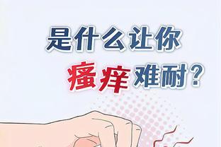 开云全站app官网入口
